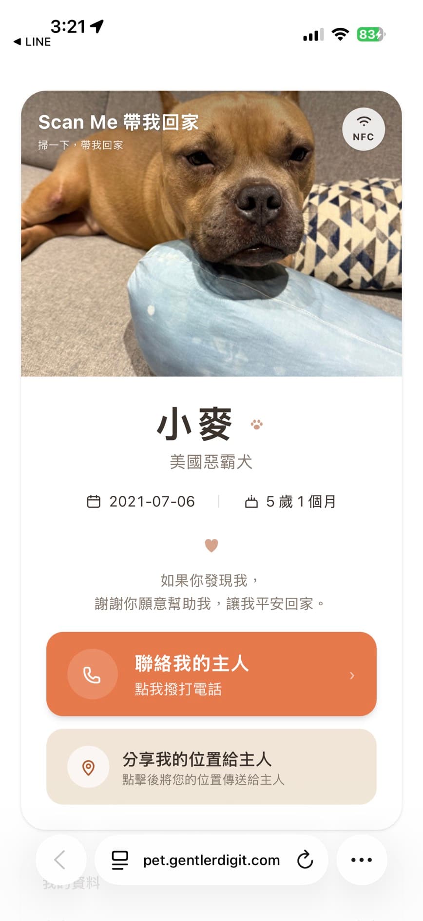 手機感應後開啟的毛孩名片頁:最上方是小麥的照片,下面是名字、品種、年齡,以及「聯絡我的主人」與「分享我的位置給主人」兩個按鈕